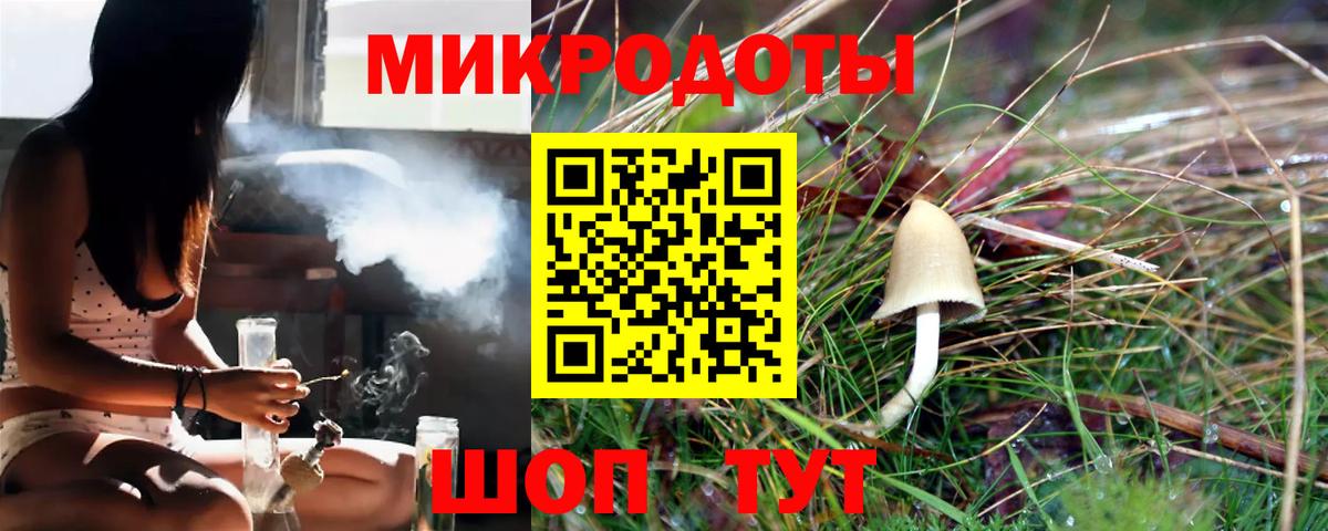 Псилоцибиновые грибы мухоморы Звенигород