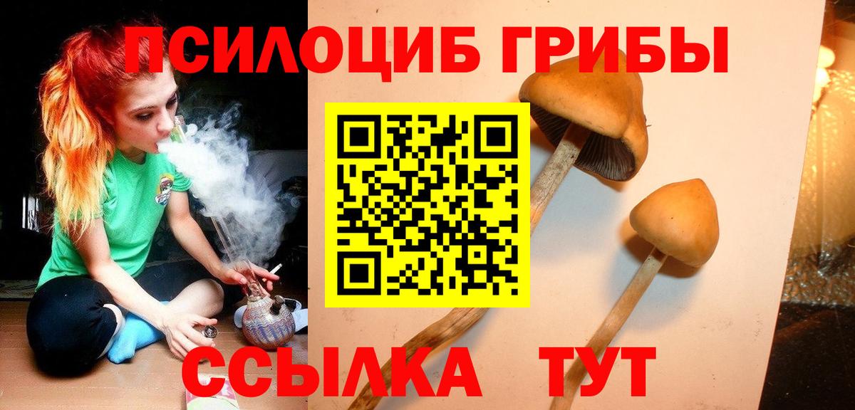 Псилоцибиновые грибы Magic Shrooms  Вход с VPN  Псилоцибиновые грибы Psilocybine cubensis  Звенигород 